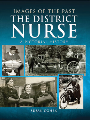 cover image of The District Nurse